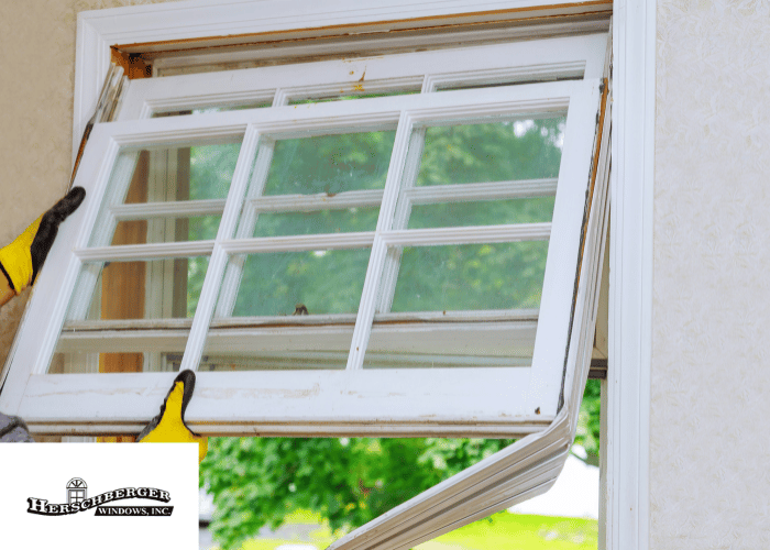 Herschberger Windows (1)