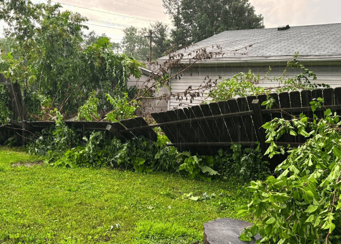 Storm damage with a fallen tree and collapsed wood fence in a backyard